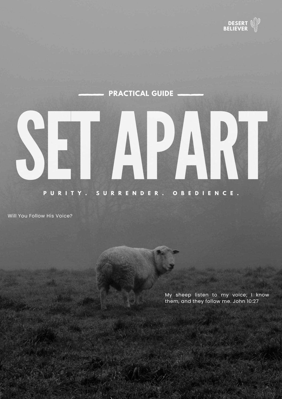 SET APART: Practical Guide to Purity, Surrender & Obedience