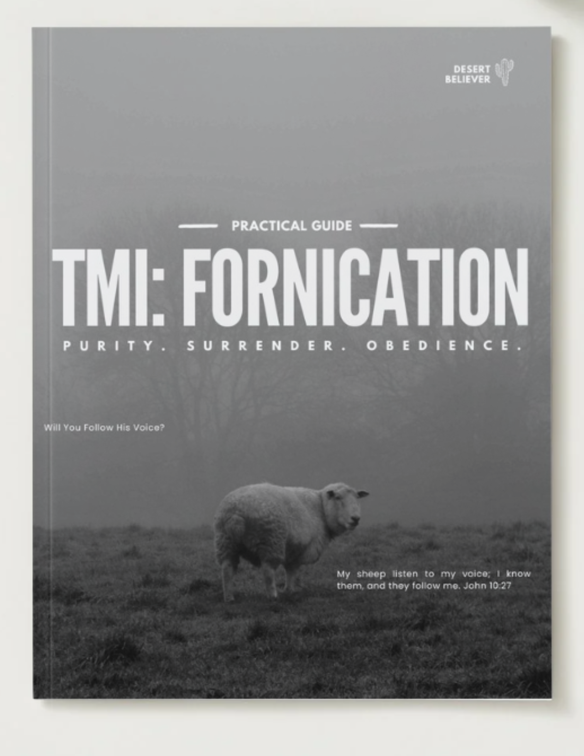 TMI: Fornication — A Practical Guide (Paperback Book)